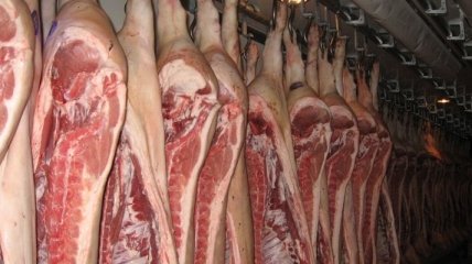 Зафиксирован существенный рост экспорта украинской свинины 
