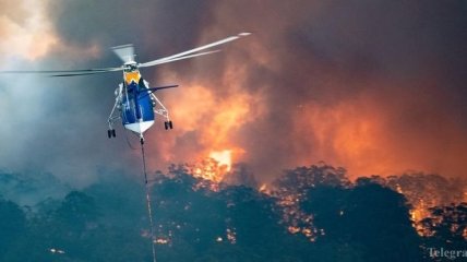 Из-за лесных пожаров на востоке Австралии объявили массовую эвакуацию 