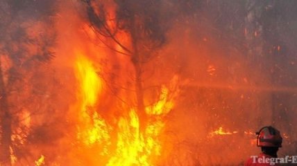 Лесные пожары в Херсонской области пытаются погасить 229 пожарных