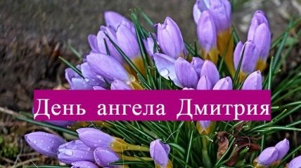 День ангела Дмитрия: значение имени и поздравления в стихах