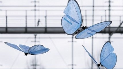 Немецкий разработчик создал роботов муравьев и бабочек (Видео)