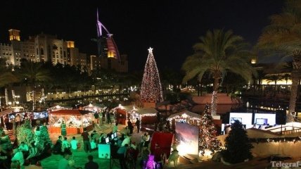 В ОАЭ до Нового года раскупили тысячи живых елок