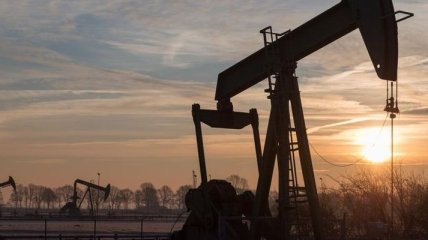 Цены на нефть снова показали рост