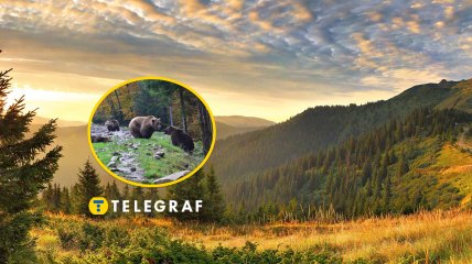 Села Колочава та Синевирська Поляна