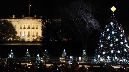 В Белый дом доставили Рождественскую елку