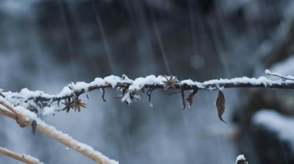 Прогноз погоды на 2 февраля: осадки по всей территории Украины