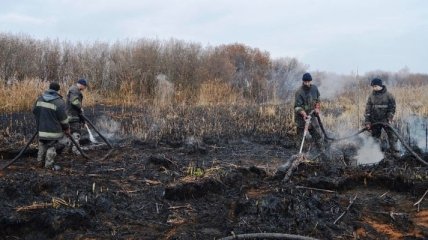На Черниговщине вторую неделю продолжаются пожары