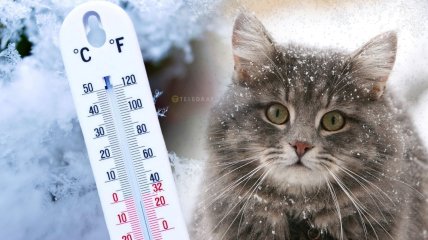 Погода в Украине