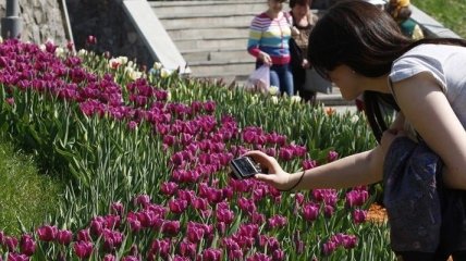 На Спивочем поле в столице откроют выставку цветов