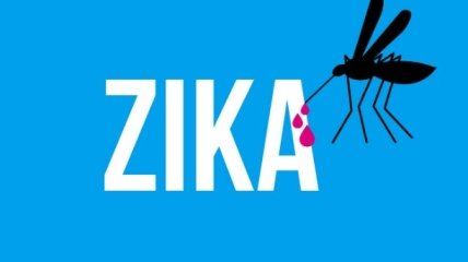Планирование беременности в условиях вспышки вируса Зика, который уже охватил более 70 стран мира