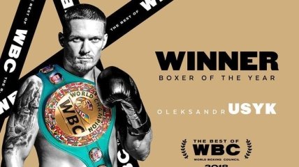 WBC назвала Усика лучшим боксером 2018 года