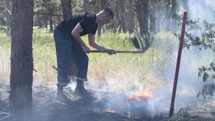 В Николаеве горели почти 2 га лесного урочища
