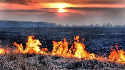 В некоторых областях Украины объявлен самый высокий уровень пожарной опасности
