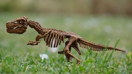 Была в положении: археологи нашли останки беременной самки динозавра