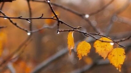 Прогноз погоды в Украине на 23 октября: ожидается похолодание 