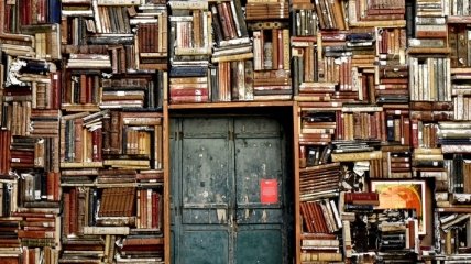 Книги можно не только читать: Как с помощью домашней библиотеки стать популярным
