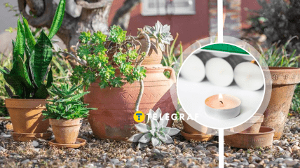 Можно использовать горшки из-под цветов.