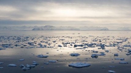 Буровые установки в Арктике будут охранять роботы