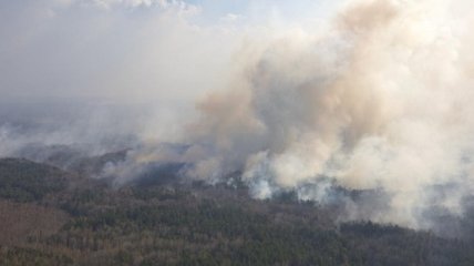 Пожары в Житомирской области: в ГСЧС рассказали, что мешает тушению 