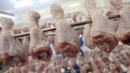 Египет предложил Украине экспортировать 12 тонн куриного мяса