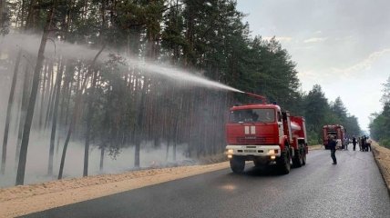 На Луганщине возросло количество жертв лесного пожара