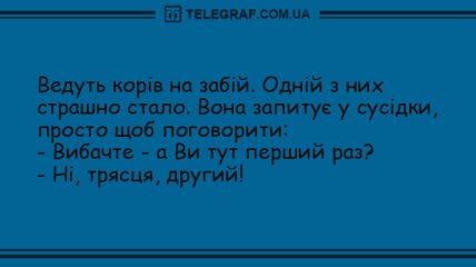Настрій - що треба: добірка анекдотів для вдалого дня