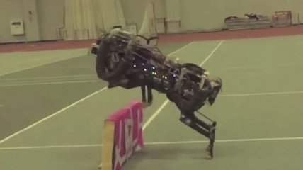 Самую быструю собаку-робота Читу научили прыгать (Видео)