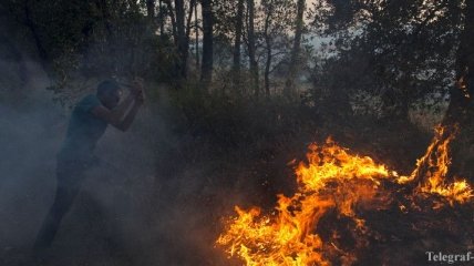 Лесные пожары в Хорватии: десятки эвакуированных жителей