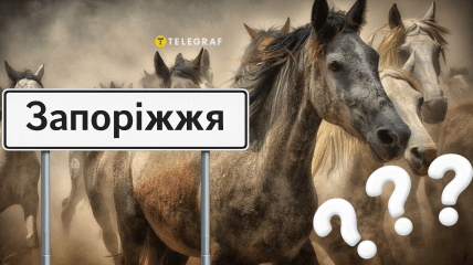 Коні