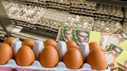 Яйца Коллаж: Телеграф