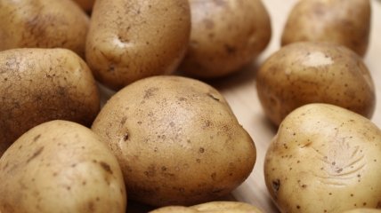 Деревна зола — відмінне підживлення для картоплі