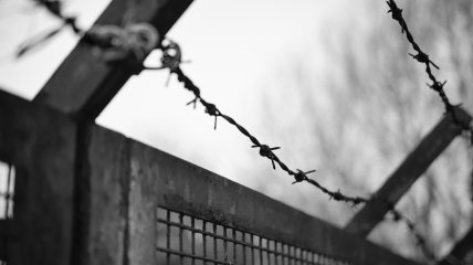 Еда Хінчліффа на Unsplash
