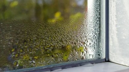 Завдяки котячому туалету можна усунути надмірну вологість у будинку