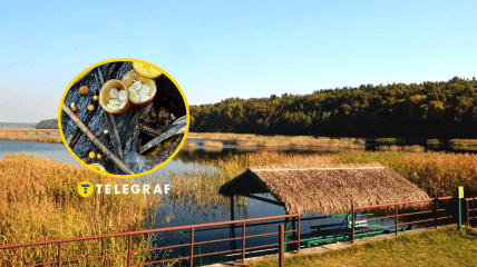 Бокальчики полосатые