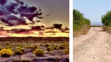"Зона молчания" в Мексике: какие тайны скрывает безлюдная пустыня (Фото)