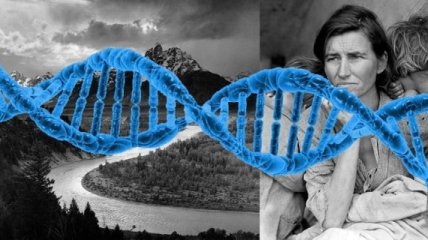 Ученые придумали, как хранить цифровые фотографии с помощью молекулы ДНК