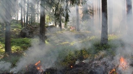 ГСЧС зафиксировала чрезвычайный уровень пожарной опасности