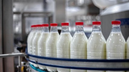 Молочники звернулись до посольства Болгарії для встановленню діалогу з болгарськими виробниками молока