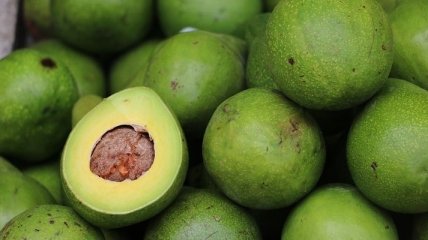 Диетологи рассказали, как авокадо помогает худеть