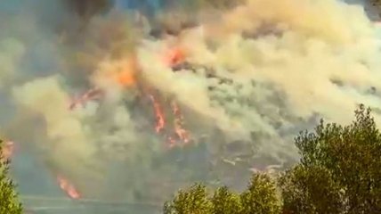  Біля гробниці царя Агамемнона в Мікенах спалахнула лісова пожежа (Відео)