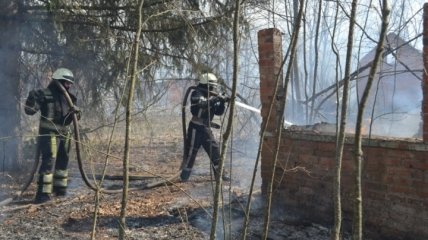 На Житомирщине и Киевщине продолжается ликвидация лесных пожаров (Фото и видео)