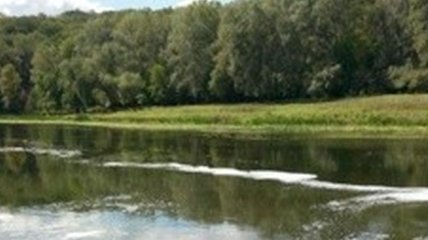 На Луганщине предприятие выбрасывает химические отходы в реку
