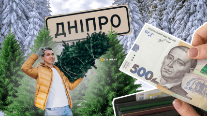 Ялинки у Дніпрі