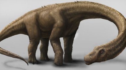 Ученые: обнаружен новый вид динозавров