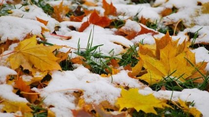 Погода в Украине 13 ноября: преимущественно дожди с мокрым снегом