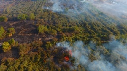В Черкасской области пятые сутки тушат торфяной пожар