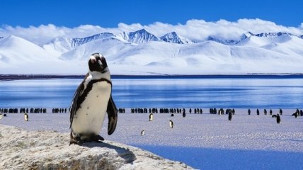 Как озоновая дыра над Антарктикой влияет на климат и жизнь в Южном полушарии
