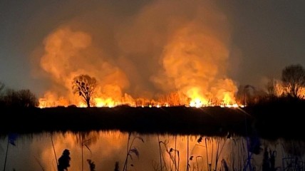 Пожар в экопарке Осокорки