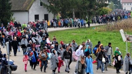 В Словении число мигрантов превысило 40 тысяч человек 