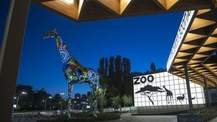 В зоопарке Киева завершили первую очередь реконструкции (Видео)